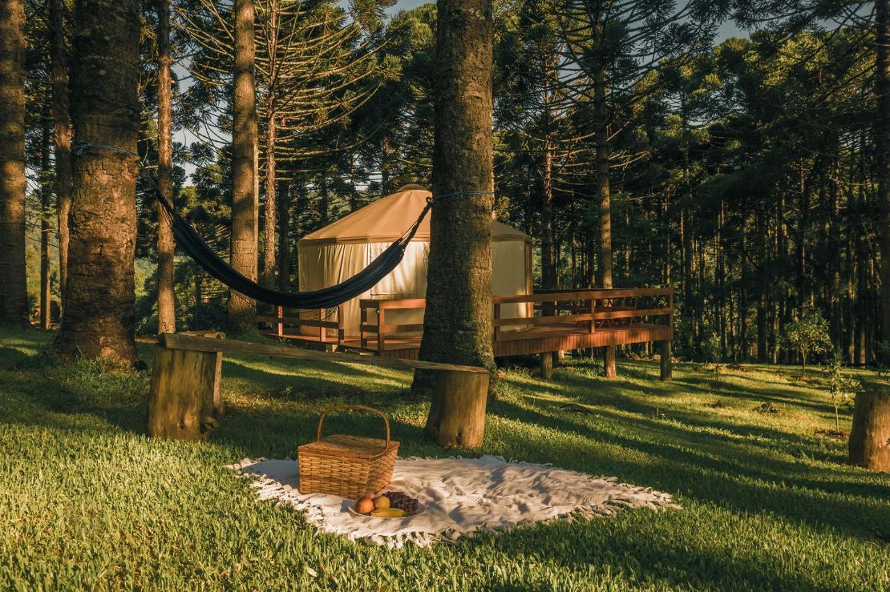 Estancia Las Araucarias Canela Exterior photo