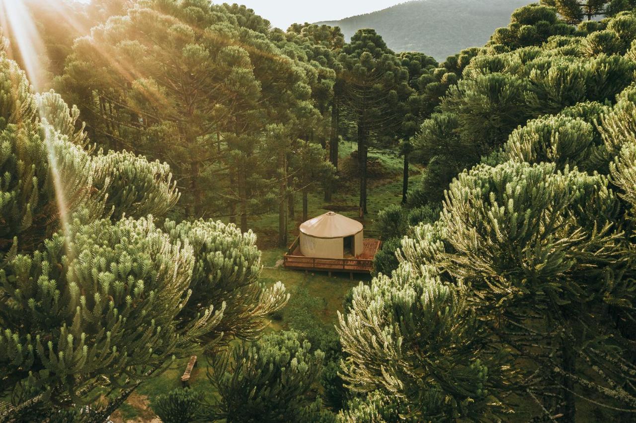 Estancia Las Araucarias Canela Exterior photo